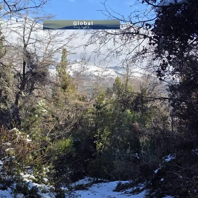 FRACCIÓN DE 7 Has SAN MARTÍN DE LOS ANDES, PATAGONIA ARGENTINA