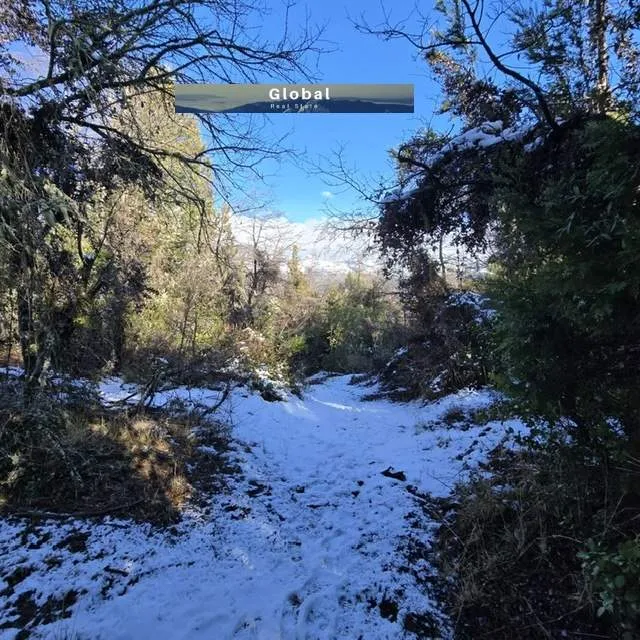 FRACCIÓN DE 7 Has SAN MARTÍN DE LOS ANDES, PATAGONIA ARGENTINA