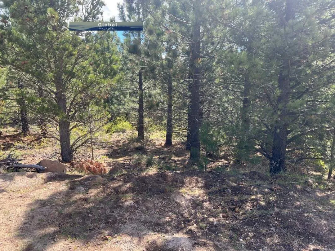 LOTE BARRIO EL REMANSO, SAN MARTÍN DE LOS ANDES PATAGONIA ARGENTINA