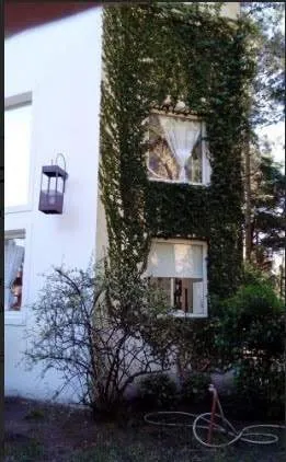 Cariló | Casa Paraíso