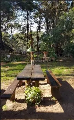 Cariló | Casa Paraíso