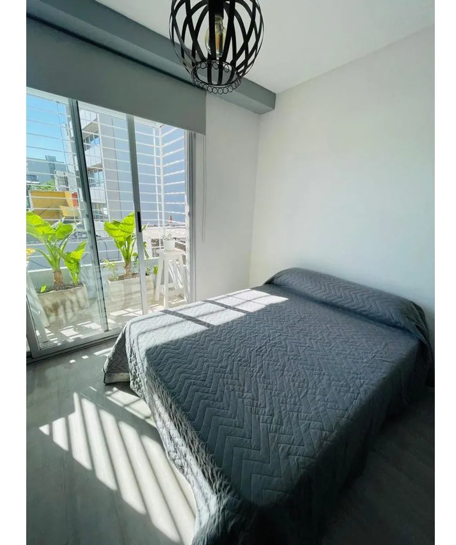 Departamento - Colegiales