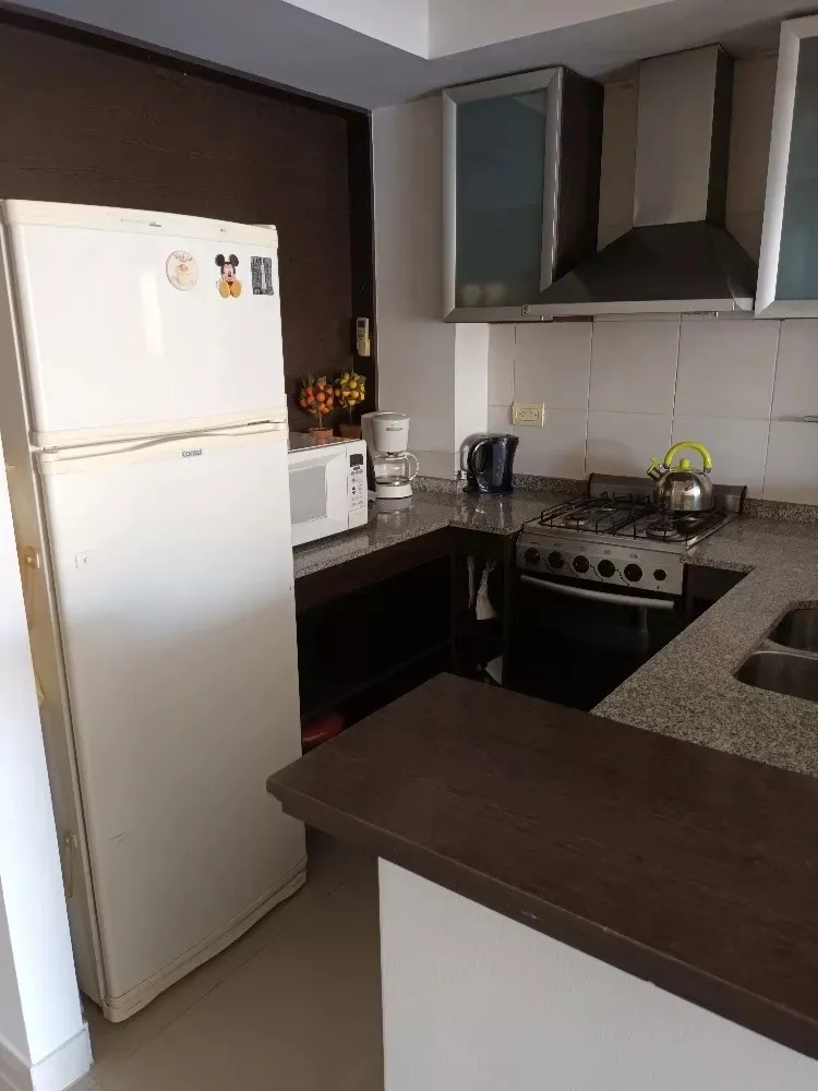 Departamento Dos Ambientes Con Balcón