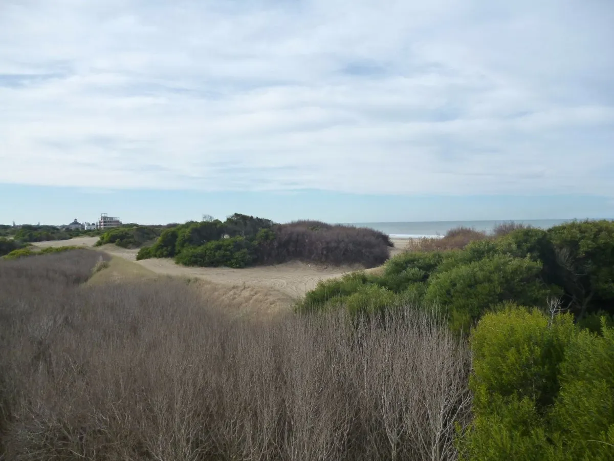 En Cariló | Lote con vista al mar A1.-