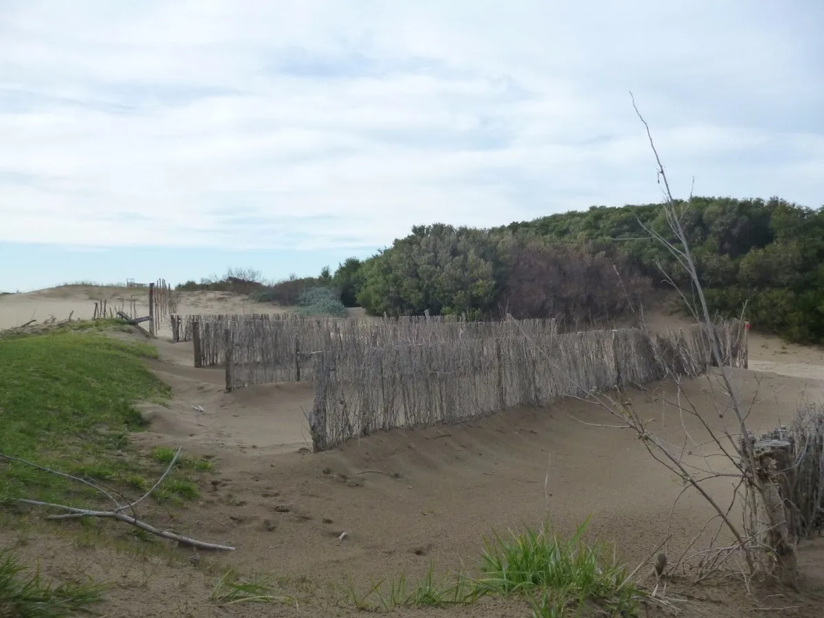 En Cariló | Lote con vista al mar A1.-