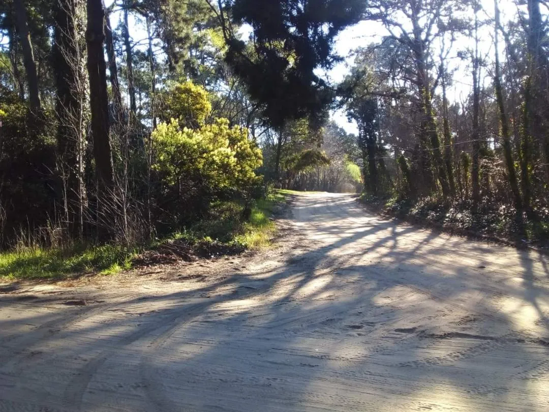 En Carilo| Lote en calle Palmera y Jilguero.