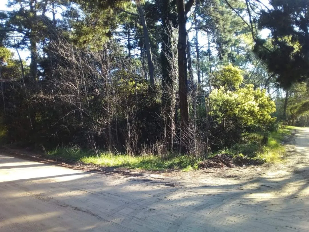 En Carilo| Lote en calle Palmera y Jilguero.
