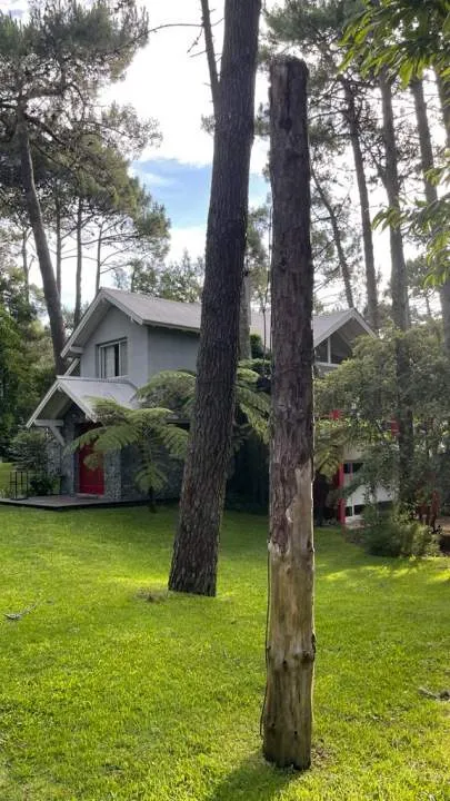 Carilo | Casa Silana