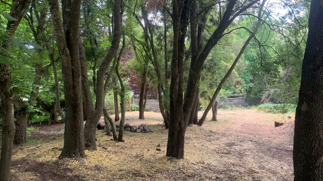 En El Bolsón | Casa Mallol