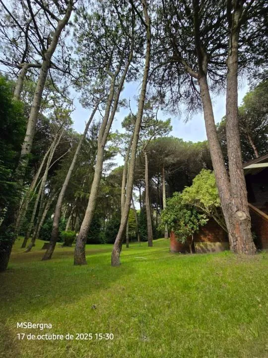 Carilo | Casa Nuetra Era