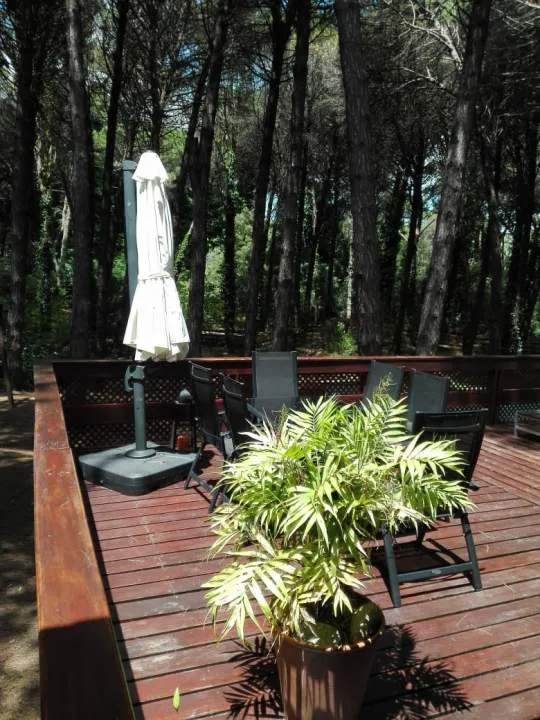 Carilo | Casa Nuetra Era