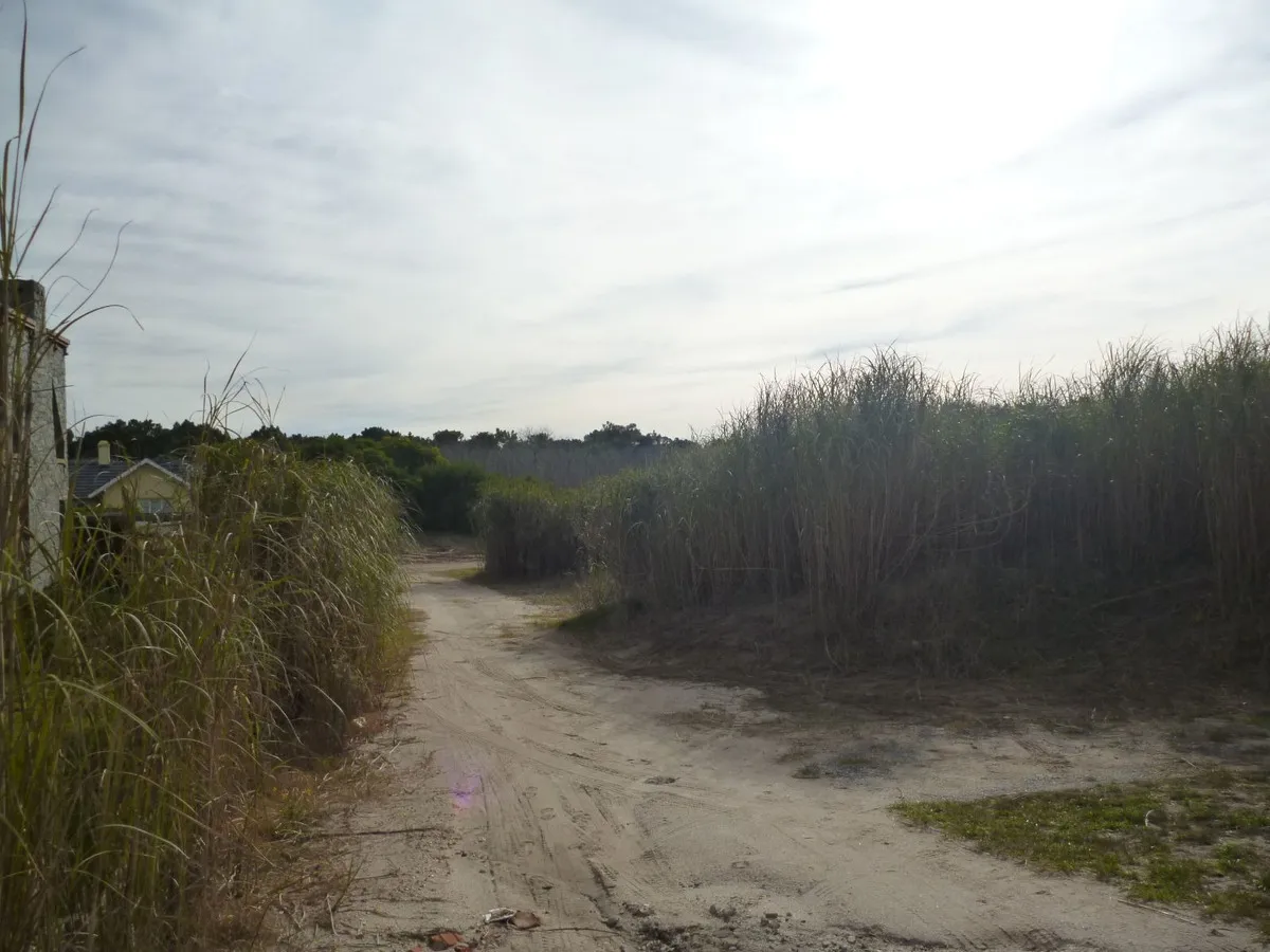 En Cariló | Lote en 2da línea de mar -809,6 m²- ( lote 25 mz 49)