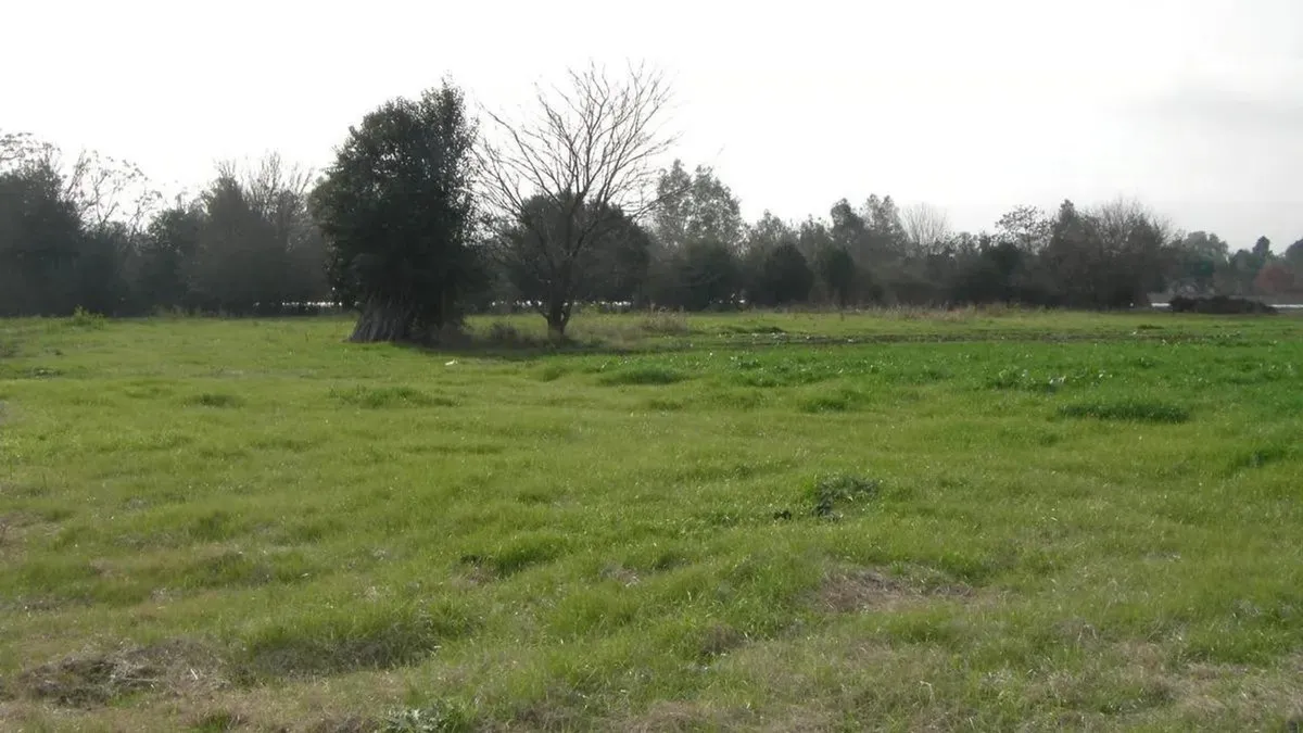 Terreno - Villa Astolfi