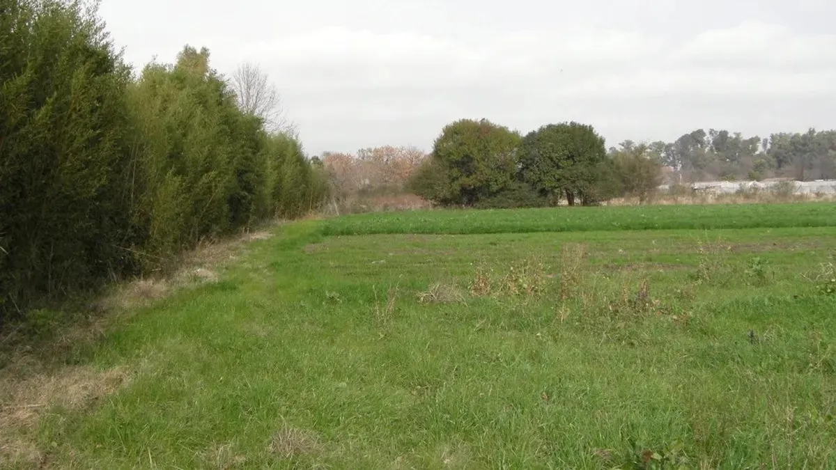 Terreno - Villa Astolfi
