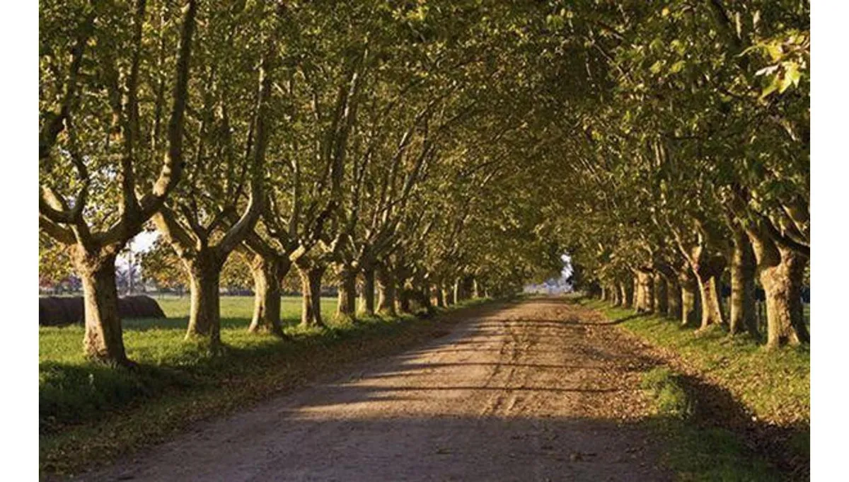 Terreno - Estancia Villa Maria