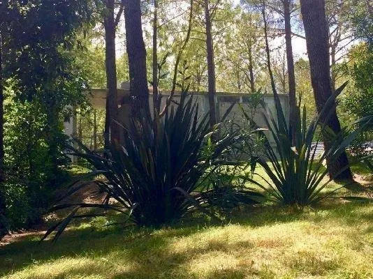 En Cariló | Pino, Confortable casa en pleno bosque! A1.-