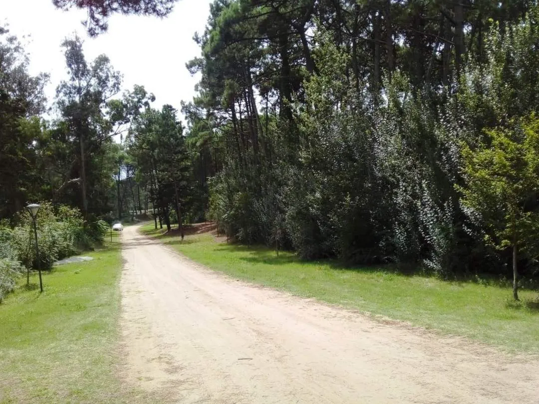 En Cariló | Lotes de Extensión Urbana ( manzana 346 lote 3-4-5-6- individuales )