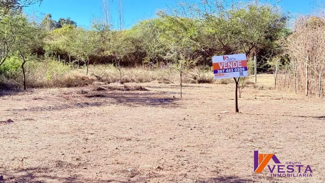 Coronel Moldes- Sol Y Luna-TERRENO-VENTA
