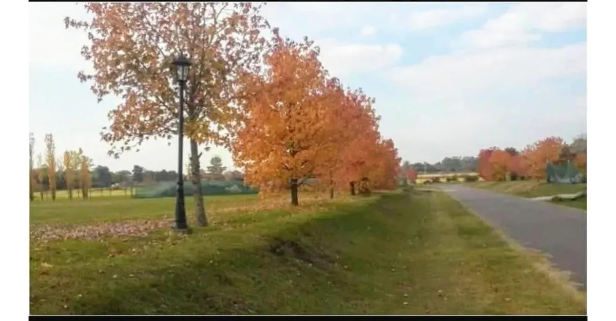 Terreno - Pilar