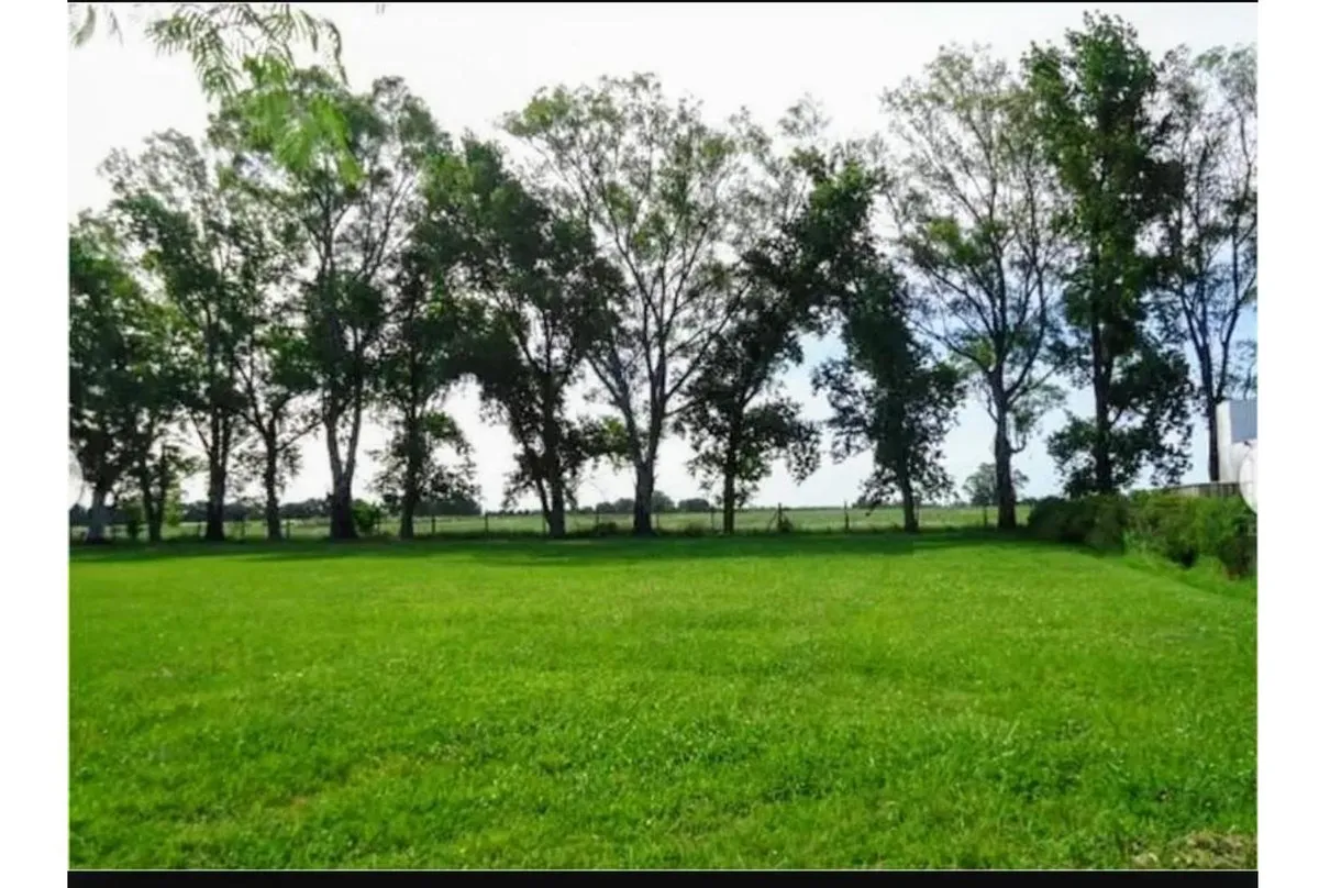 Terreno - Pilar